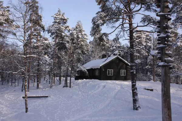 På vintern