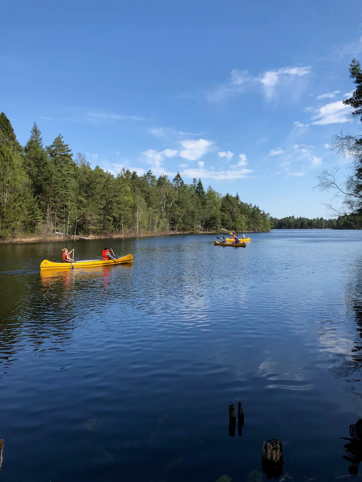 Sjön från kanotbryggan