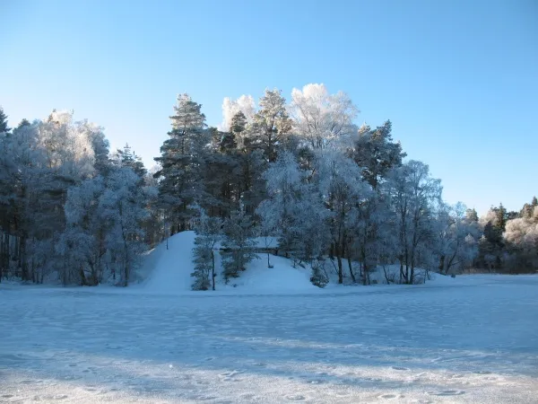 Sjön på vintern