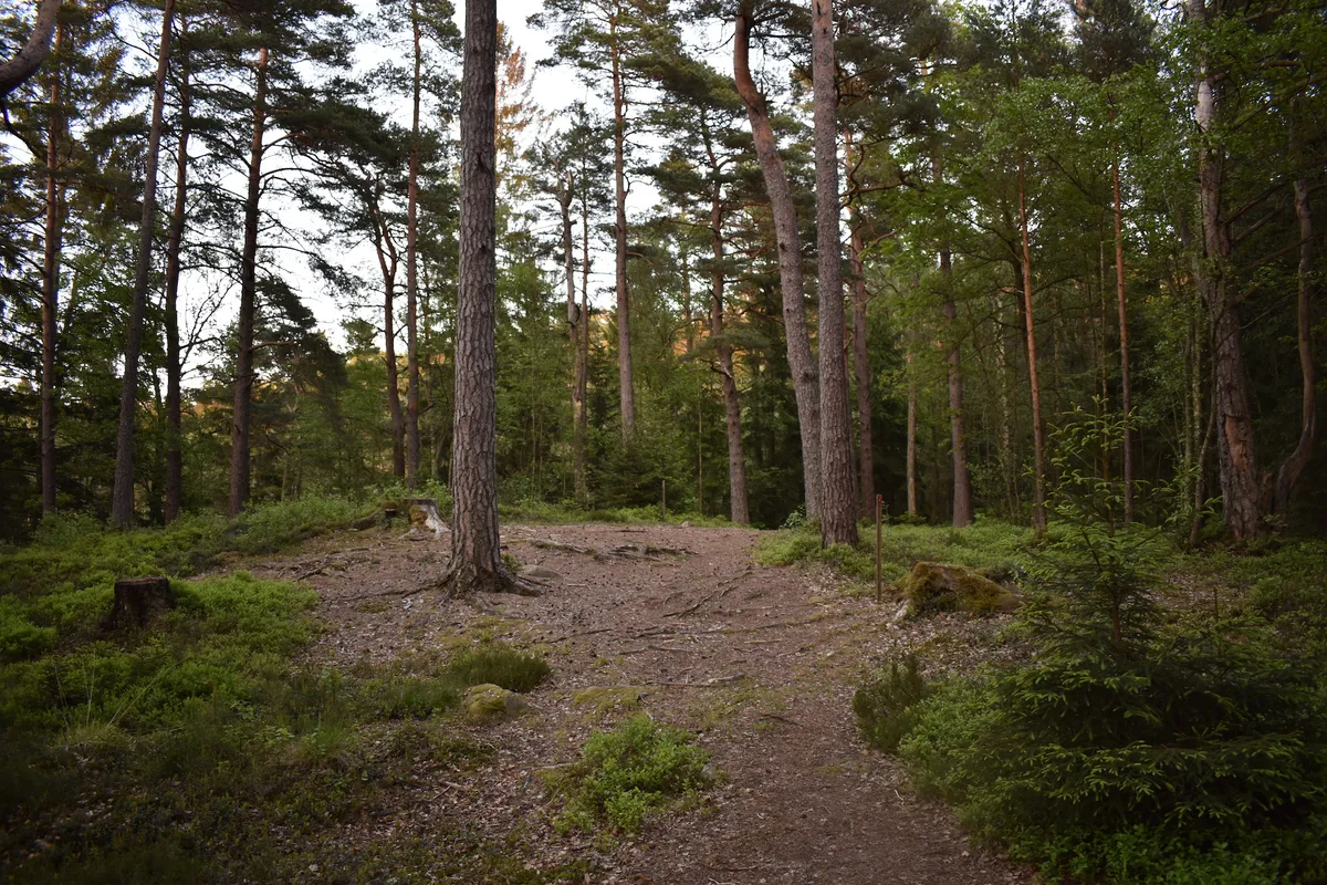 Tältplatsen